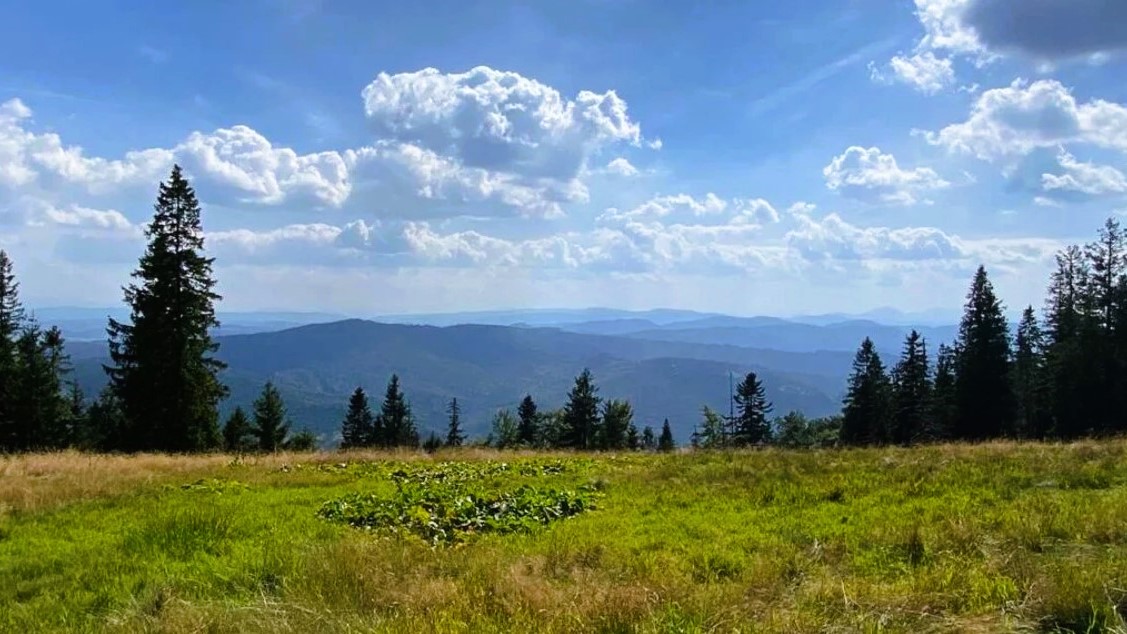 Beskid Żywiecki