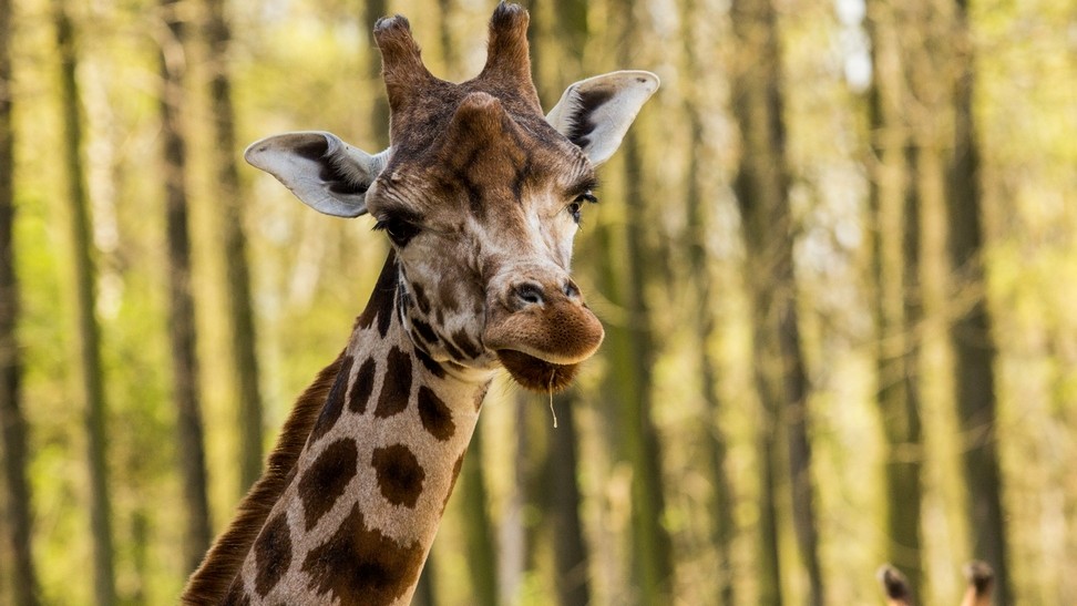 31.05 Zoo Ostrava