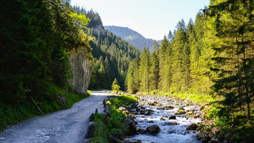 Zakopane - Express